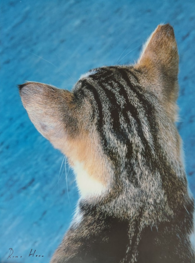 Roni HORN - Untitled (Kitty Cat), circa 2000 - Offset print signed in pencil
