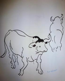 Pierre AMBROGIANI - Etude de vaches signé, Dessin au feutre 2
