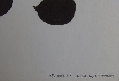 Joan MIRO (d’après) - Mostra Granollers, 1971 - Affiche lithographique 2