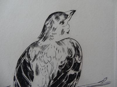 Joseph HECHT - Oiseau sur une branche, Gravure originale 2