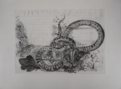 Pierre-Yves TREMOIS - Serpent et Crapaud, Gravure originale signée 2