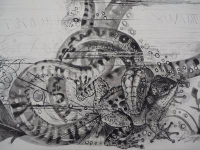 Pierre-Yves TREMOIS - Serpent et Crapaud, Gravure originale signée 2