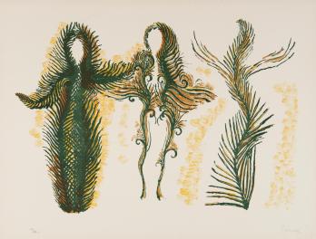 FENOSA - Femmes lianes, 1970, Lithographie originale signée 2