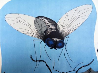 Félix LABISSE - La mouche et la fourmi, Lithographie originale 2