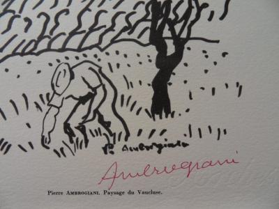 Pierre AMBROGIANI - Paysage du Vaucluse, 1961, Héliogravure signée 2