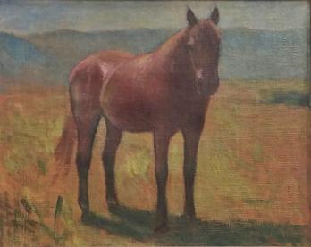 Giovanni MALESCI - Cheval, 1940 - Huile sur toile 2