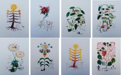 Salvador DALI (d’après) : Flordali - Série de 8 lithographies à tirage limité 2