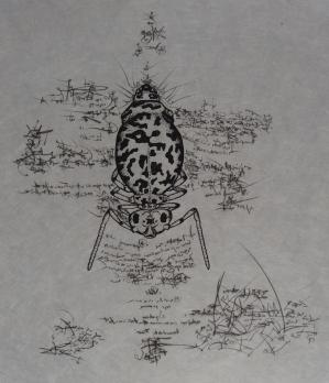 Salvador Dali - Immortalité du Dalianus Galae, 1973, gravure originale signée 2