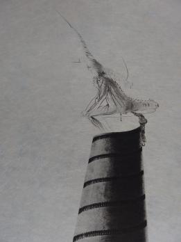 Salvador Dali - Zootrope and Boullée Tower, 1973, original signed engraving 2