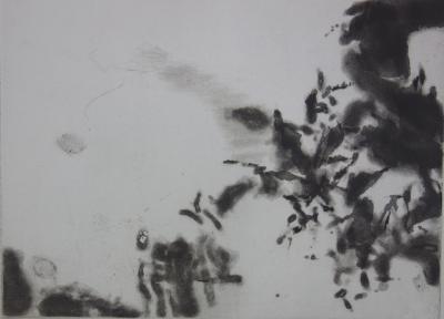 Zao WOU-KI : Mon œil, le voici peintre, 1994 - Gravure originale à l’aquatinte 2