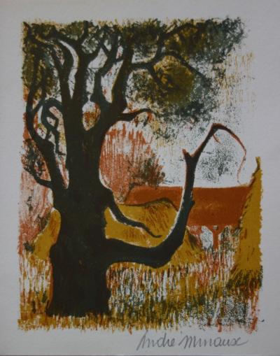 André MINAUX : Vieil arbre au fond de la cour -  Lithographie originale Signée 2
