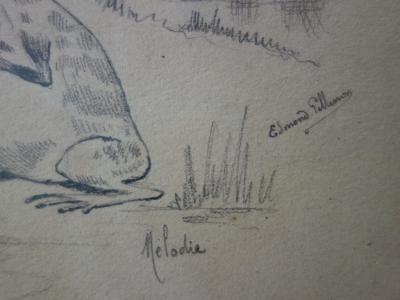 Edmond PELLISSON : Mélodie, le chant des grenouilles - Dessin original signé - c. 1895 2