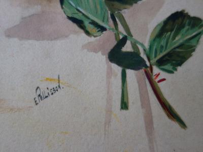 Edmond PELLISSON : Couple de Mésanges et roses - Aquarelle originale signée - c. 1902 2