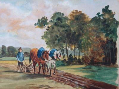 Edmond PELLISSON : Le labour à cheval - Aquarelle originale signée - c. 1902 2