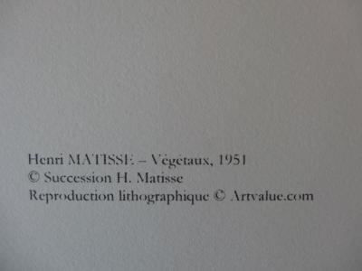 Henri MATISSE (1869-1954) - Végétaux, Lithographie 2