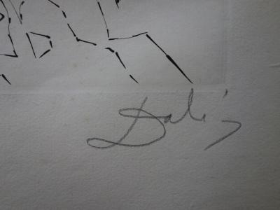 Salvador DALI  - Le peloton - Gravure originale signée 2
