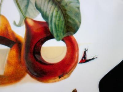 Salvador DALI - Fruits troués et rhinocéros - Plat en Porcelaine original signé 2