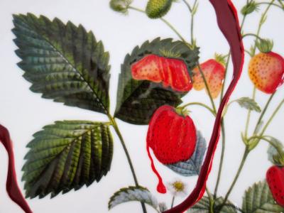 Salvador DALI  - Coeur de fraises - Plat en Porcelaine original signé et numéroté 2