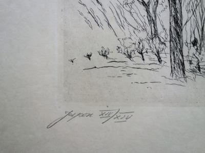 André DUNOYER de SEGONZAC : Les Vignes - Gravure originale signée 2