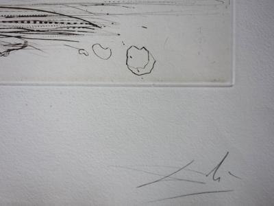 Salvador Dali : Mission Dolores - Gravure originale signée 2