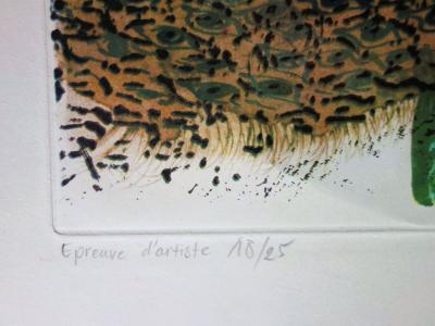 Salvador Dali : L’ananas - Gravure originale signée 2