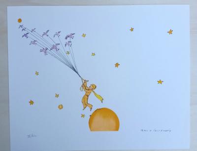 Saint Exupéry - Le Petit Prince et les étoiles 2