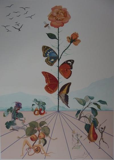 Salvador Dalì, Flordalì II, colorée lithographie, 103x72,2 cm, 1981 2