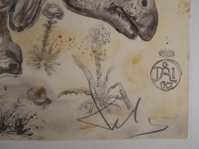 Salvador DALI -  Rhinocéros - Gravure originale signée 2