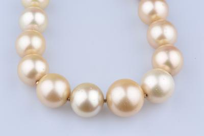 Magnifique collier de perle des Mers du Sud de couleur champagne disposées en chute. 2