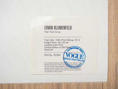 Erwin BLUMENFELD - Cross - Limited edition lambda color print 2