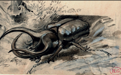 Hector Giacomelli 1822/1904, dessin à l’encre 2